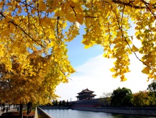 紫禁城护城河简介