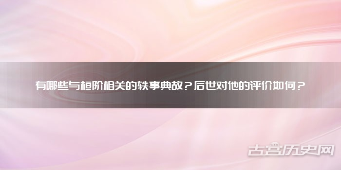 有哪些与桓阶相关的轶事典故？后世对他的评价如何？