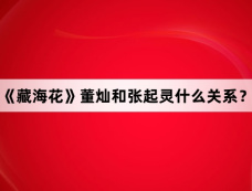 《藏海花》董灿和张起灵什么关系？
