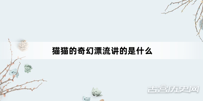 猫猫的奇幻漂流讲的是什么