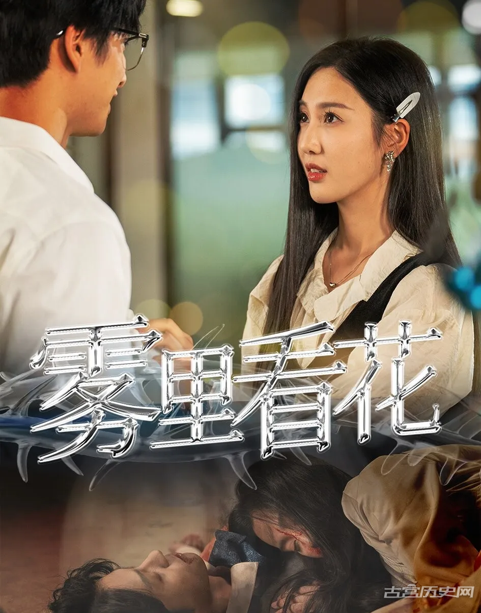 《雾里看花》剧情介绍