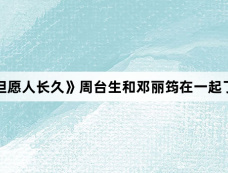 《但愿人长久》周台生和邓丽筠在一起了吗