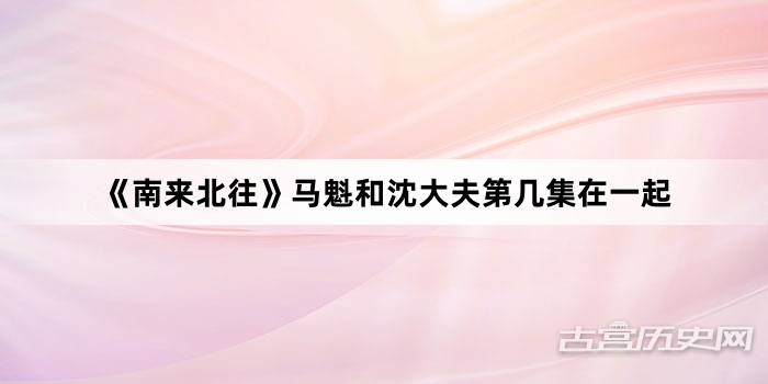 《南来北往》马魁和沈大夫第几集在一起