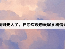 《找到夫人了,在恋综谈恋爱呢》剧情介绍