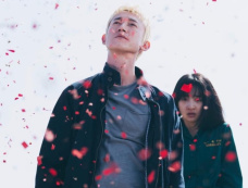 台剧《塑胶花》每周更新几集