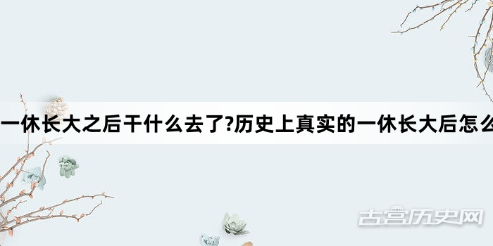 一休长大之后干什么去了?历史上真实的一休长大后怎么样了?