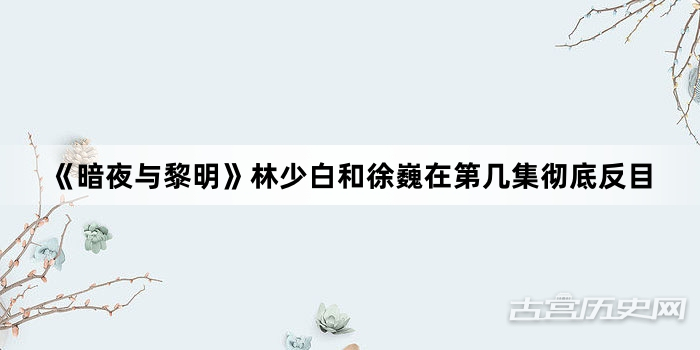 《暗夜与黎明》林少白和徐巍在第几集彻底反目