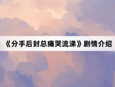 《分手后封总痛哭流涕》剧情介绍