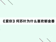 《爱你》何苏叶为什么喜欢郁金香