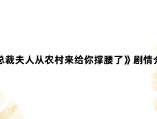 《总裁夫人从农村来给你撑腰了》剧情介绍