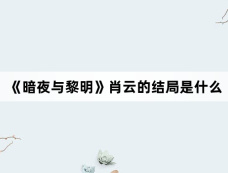 《暗夜与黎明》肖云的结局是什么