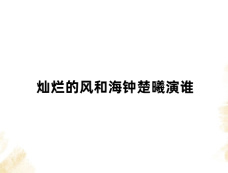 灿烂的风和海钟楚曦演谁