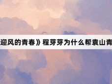 《迎风的青春》程芽芽为什么帮袁山青？