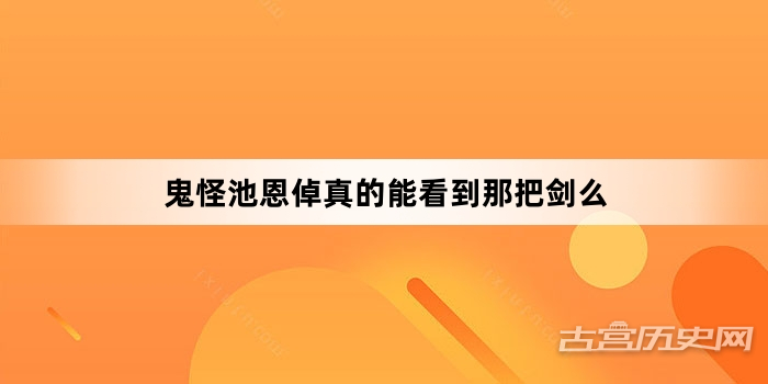 鬼怪池恩倬真的能看到那把剑么