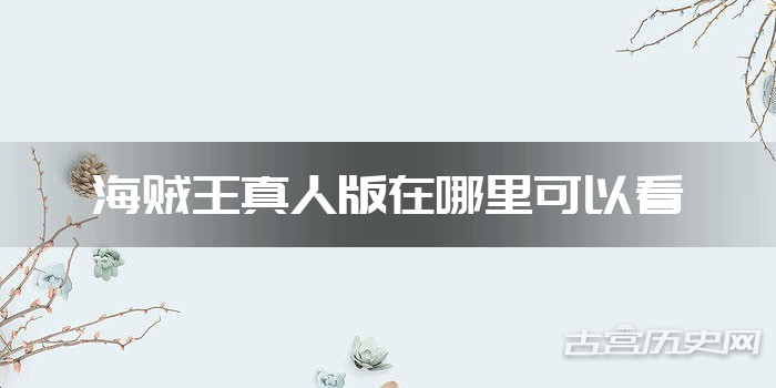海贼王真人版在哪里可以看