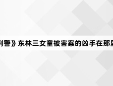 《我是刑警》东林三女童被害案的凶手在那里被抓获