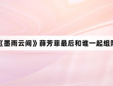 《墨雨云间》薛芳菲最后和谁一起组队