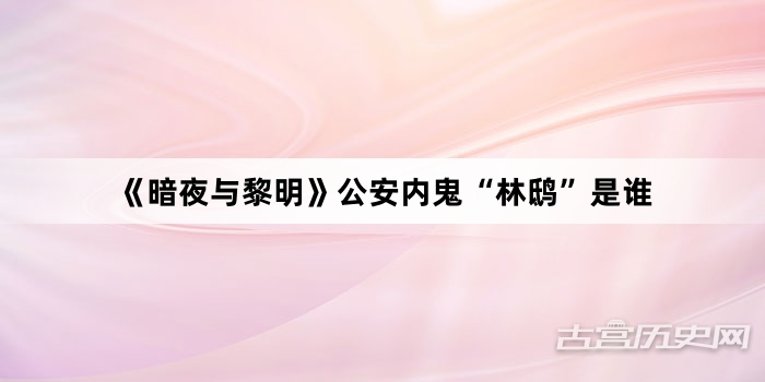 《暗夜与黎明》公安内鬼“林鸱”是谁