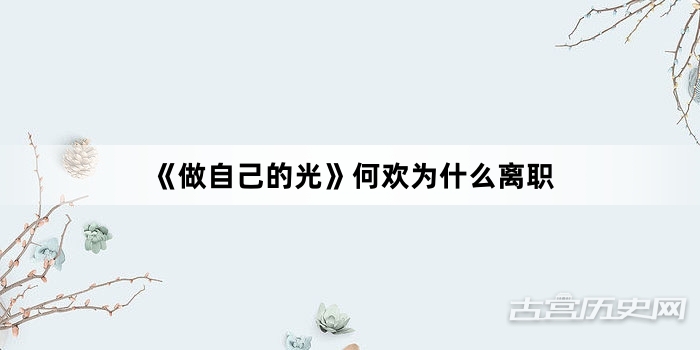 《做自己的光》何欢为什么离职