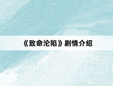 《致命沦陷》剧情介绍