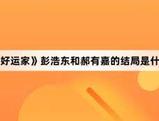 《好运家》彭浩东和郝有嘉的结局是什么