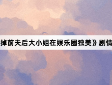 《踹掉前夫后大小姐在娱乐圈独美》剧情介绍