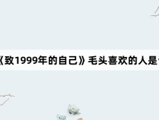 《致1999年的自己》毛头喜欢的人是谁