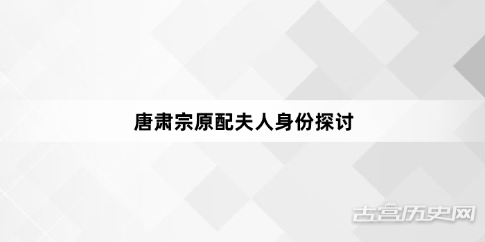唐肃宗原配夫人身份探讨