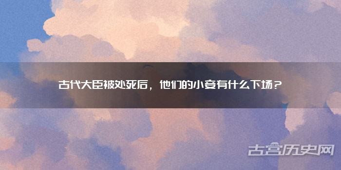 古代大臣被处死后，他们的小妾有什么下场？