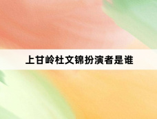 上甘岭杜文锦扮演者是谁
