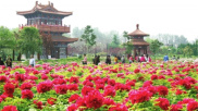 中国洛阳牡丹文化节简介