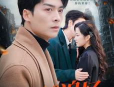 《待爱已成追忆》剧情介绍