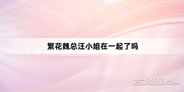 繁花魏总汪小姐在一起了吗