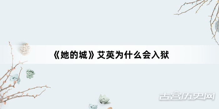 《她的城》艾英为什么会入狱