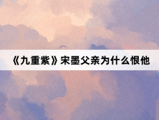 《九重紫》宋墨父亲为什么恨他