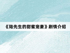 《陆先生的甜蜜宠妻》剧情介绍