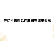 苦尽柑来遇见你韩剧在哪里播出