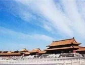 故宫为什么没有树