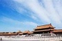 故宫为什么没有树
