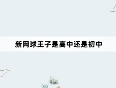 新网球王子是高中还是初中