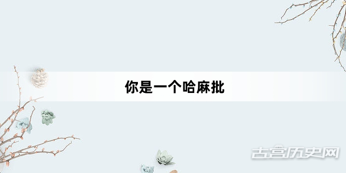 “你是一个哈麻批”网络梗词解释