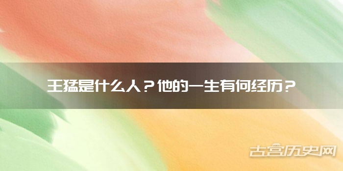 王猛是什么人？他的一生有何经历？