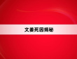 文姜死因揭秘