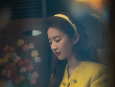 《玫瑰的故事》周士辉为什么悔婚