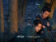 电视剧《花开有时颓靡无声》第1-12全集剧情（含结局）