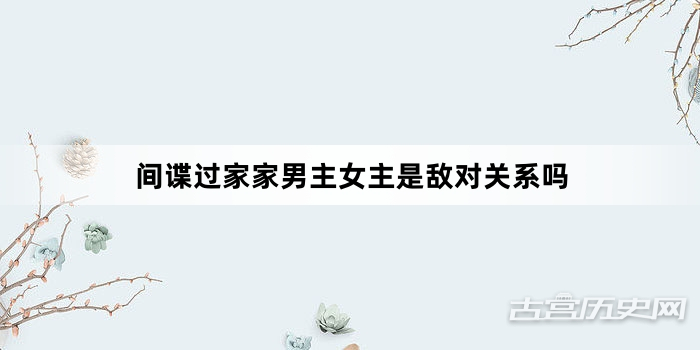 间谍过家家男主女主是敌对关系吗
