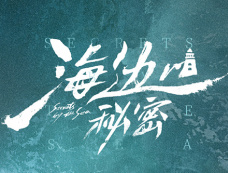 电视剧《海边的秘密》播出时间