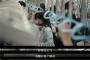 《我的解放日志》经典台词