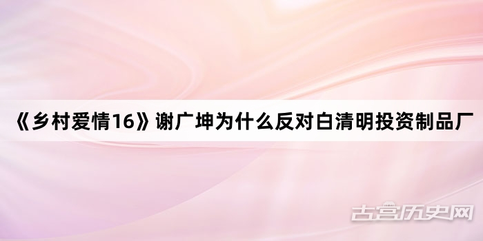 《乡村爱情16》谢广坤为什么反对白清明投资制品厂