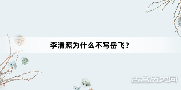 李清照为什么不写岳飞？